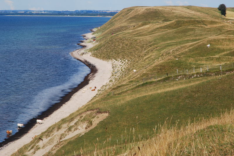 Skånebilder Hammars backar Skånebilder Hammars backar